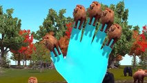 Top 10 Animated Lion Finger Family Rhymes | 3d Animated Lion Finger Family Rhymes