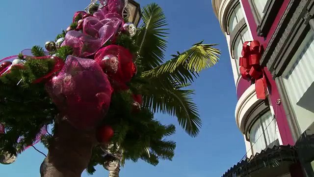 The Dog Who Saved the Holidays | Trailer (2012) | Dean Cain, Elisa Donovan, Shelley Long