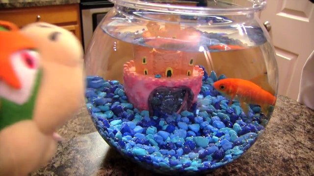 SML Movie: Bowsers Goldfish!