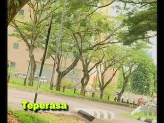 Teperasa - Wilson
