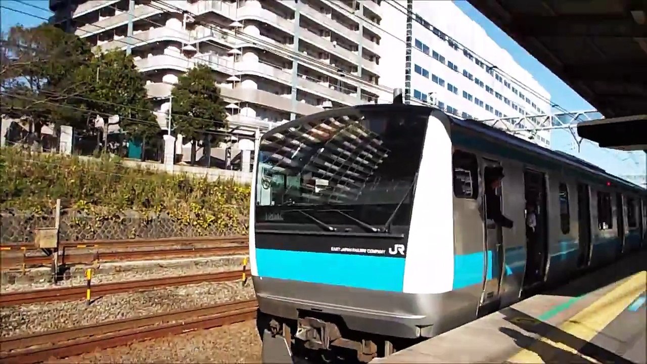 JR EAST JAPAN ZONE( RED ZONE )