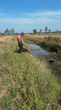 Quand tu dois aller repecher tes vaches dans le ruisseau