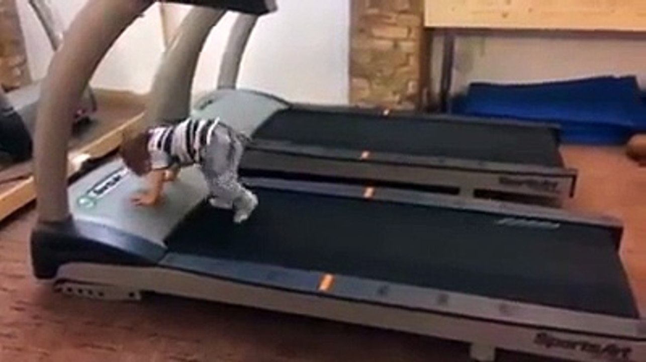 Un bébé fait du tapis roulant dans une salle de sport !