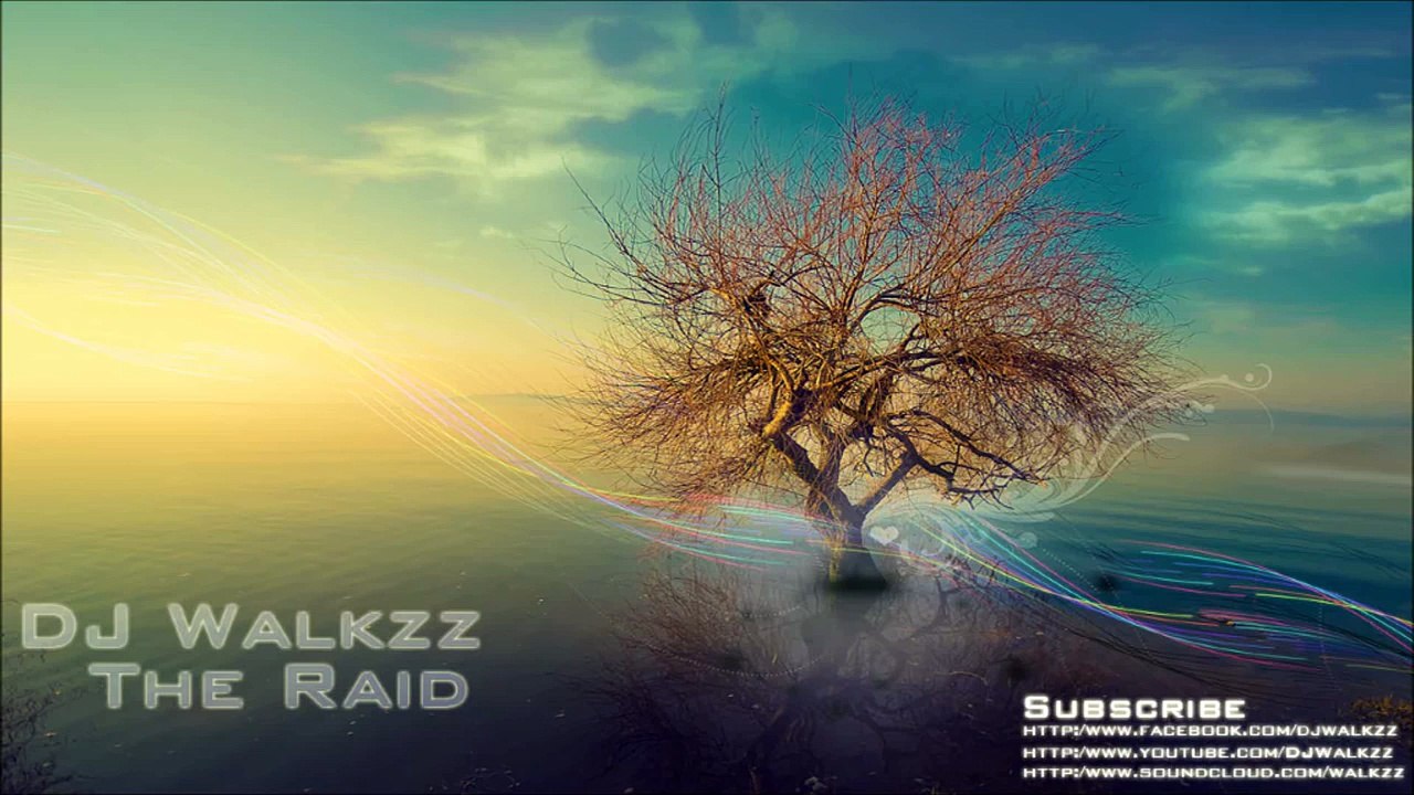 Alan Walker - The Raid