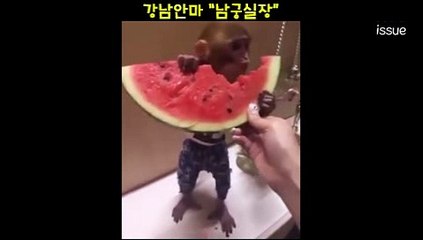 스타안마 010.4373.1910 남궁실장