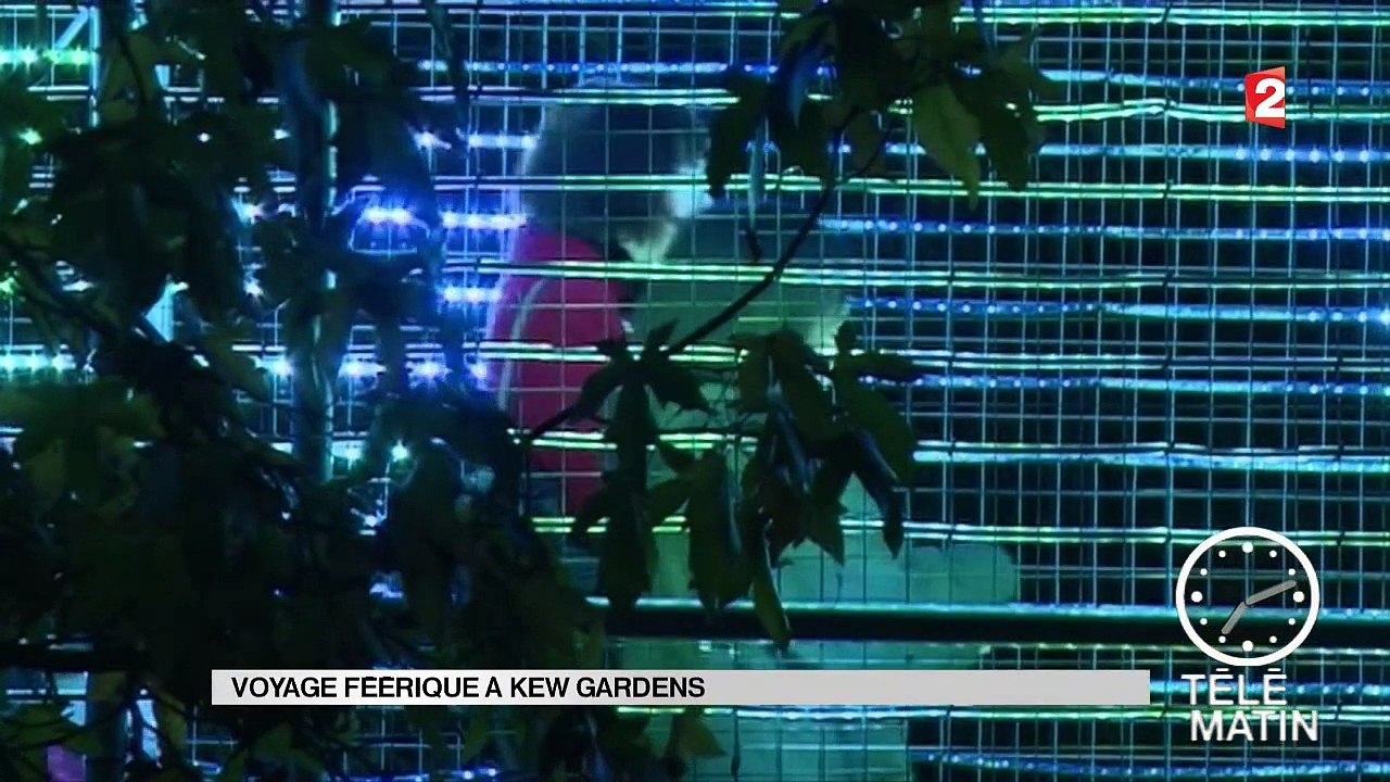 Sans Frontières - Londres : le Royal Botanic Gardens s’illumine pour Noël