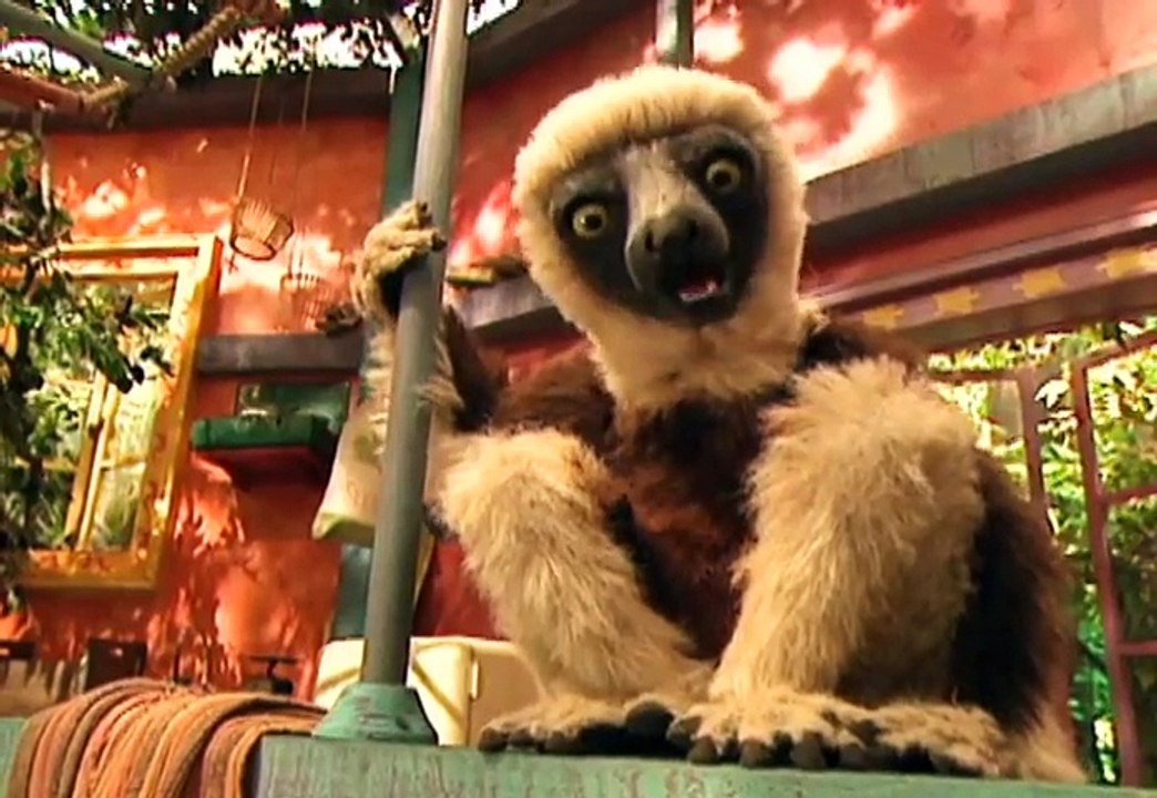 Zoboomafoo 105 Happy Lemur Day (Full Episode) video Dailymotion