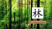 Origin of Chinese Characters - 0301 林 lín wood, grove, forest - Learn Chinese with Flash Cards