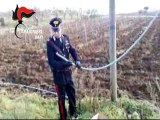 Acquaviva delle fonti (BA): sorpresi mentre rubano cavi in rame