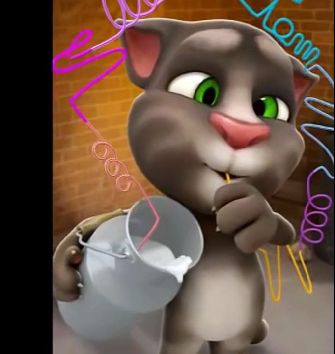 tom talking cat funny videos