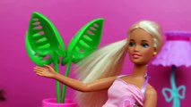 Barbie Doll Spanish Lesson with New Latina Disney Princess Vera DisneyCarToys Pregnant Barbie Parody