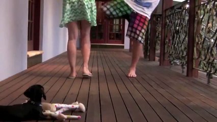 Questo Piccolo scatta all'azione quando un Ragazzo simula di picchiare la sua Padroncina