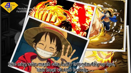 Top 10 Trái Ác Quỷ Mạnh Nhất One Piece