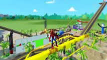 Disney Cars Spiderman vs Brother Spider Man Chasing Hulk - Nursery Rhymes Song for Kids Children