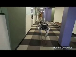 STOP alla violenza sui Robot!