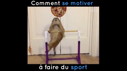 Pour se motiver à faire du sport c'est pas compliqué rien ne vaut une bonne pizza !