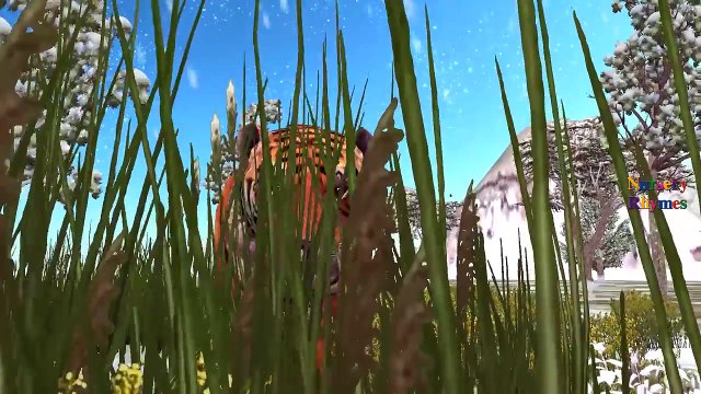 Animals Fight In Jungle | Panther Vs Tiger Fighting Video | Panther Attacks Tiger Fight To Death