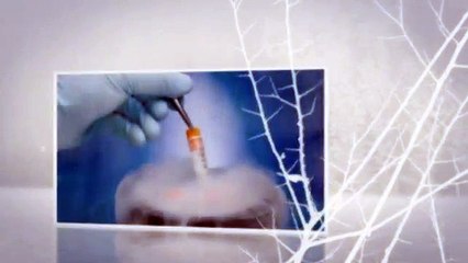 Clinica de Reproducao Humana