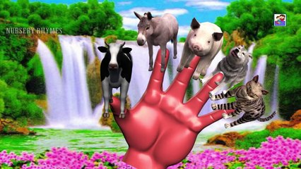 #Children #Nursery #Rhymes #Collection For #Babies & #Toddlers || #Colours #Song #Kids & #Preschool