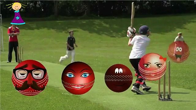 Finger Family Nursery Rhymes for Children CRICKET BALL Cartoons | Crazy CRICKET BALL Finger Family