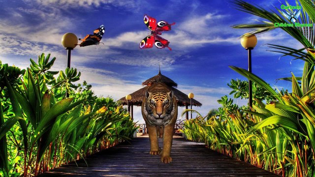 Lion Vs Tiger Finger Family Nursery Rhymes | Finger Family Song For Cartoon Children Rhymes