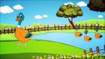 Head Shoulders Knees And Toes | Nursery Rhymes Collection | Kids Songs | Nursery Rhyme Street