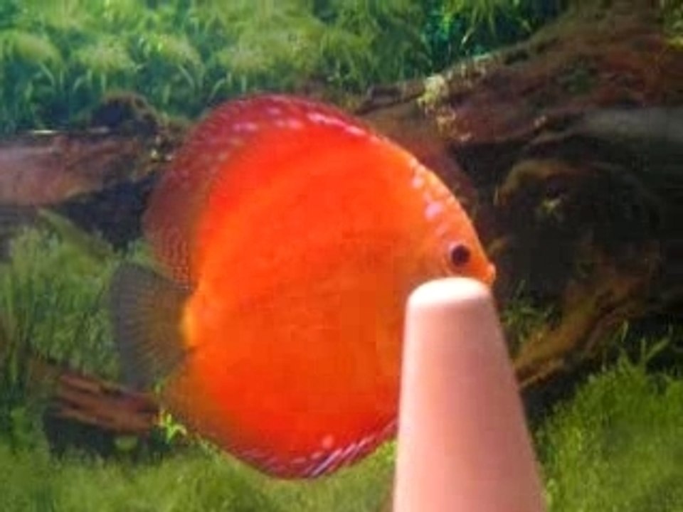 M 002