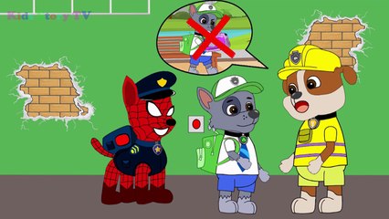 Paw Patrol Baby Destroy Beautiful Love Full Episodes! Paw Patrol Animation Movies For Kids 2016