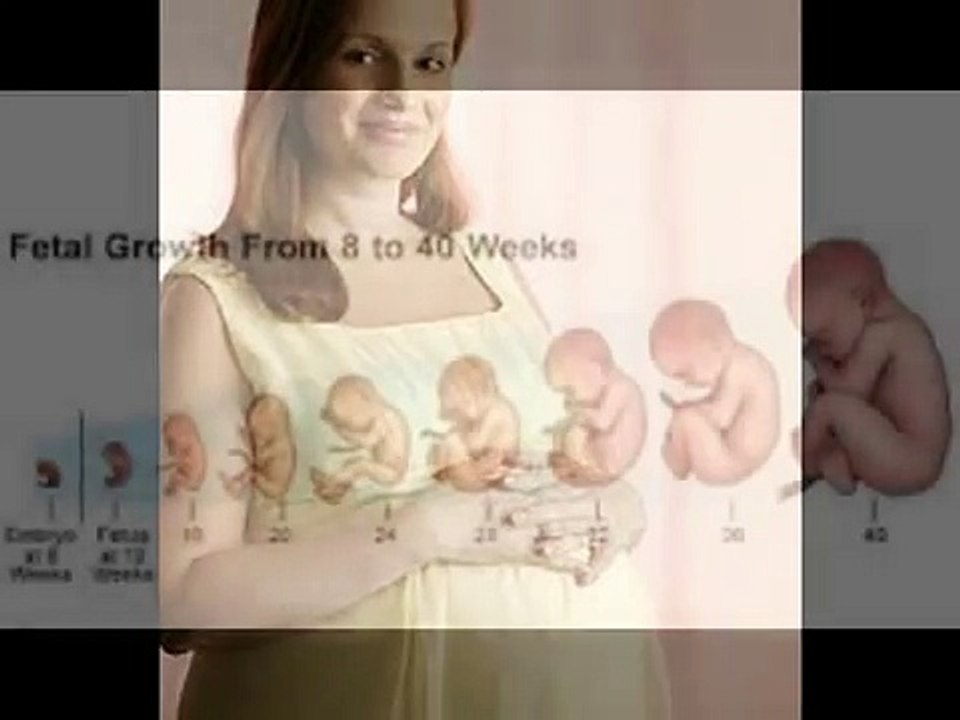 PREGNANCY WEEK 1 II गर्भावस्था का 1 हफ्ता II