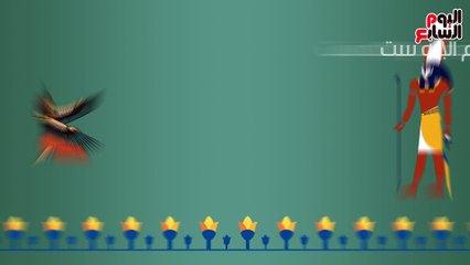 بالفيديو جراف..الحمار  حمّال "أسيه".. أكل وشرب وتصدير