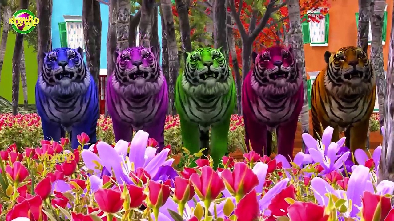 Lion Finger Family Songs,Tiger Family Songs, Bear Finger Family Songs