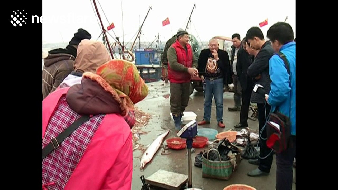 Fisherman catches GIANT swamp eel in China