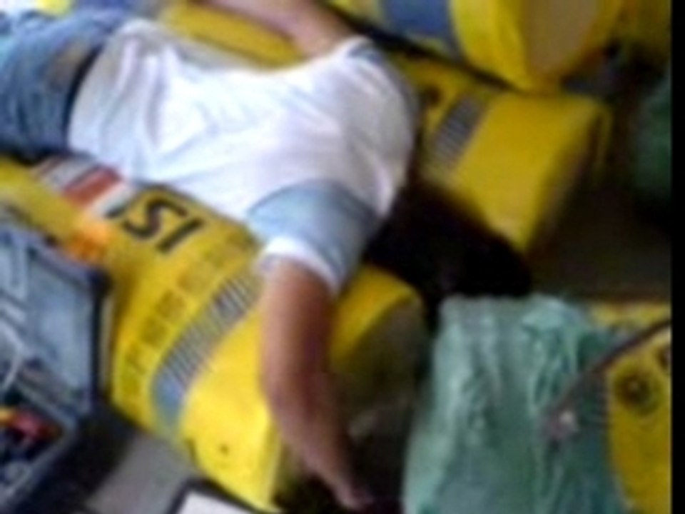 sartrouville Nino fait dodo sur la laine de verre