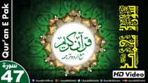 Listen & Read The Holy Quran In HD Video - Surah Muhammad [47] - سُورۃ محمد - Al-Qur'an al-Kareem - القرآن الكريم - Tilawat E Quran E Pak - Dual Audio Video - Arabic - Urdu