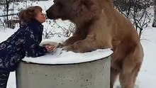 Is time for meal for a lovely bear