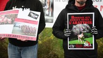 Manifestation devant les abattoirs de Liège