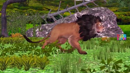 African Lion King Finger Family Songs | Female Lion Attacks Dinosaurs | Lion Videos For Ki