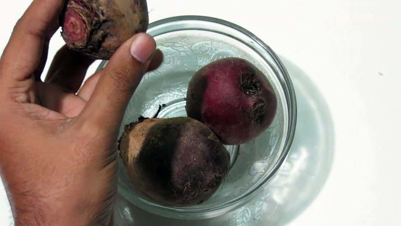 Benefit of Chakundar for Health