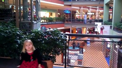 PEOPLE STILL SHOPPING NO ECONOMIC CRISIS At Mall Of America Ultimate Cake Decorating Competition