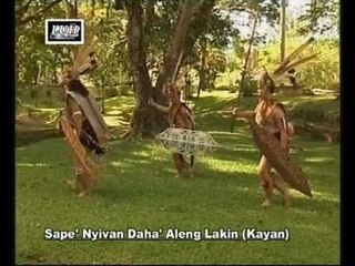 Sape 'Nyivan Daha' Aleng Lakin(Kayan)