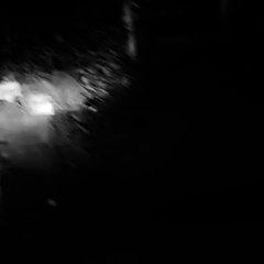 Vidéo Instagram de Real Ghosts • 30 janvier 2016, 00-50