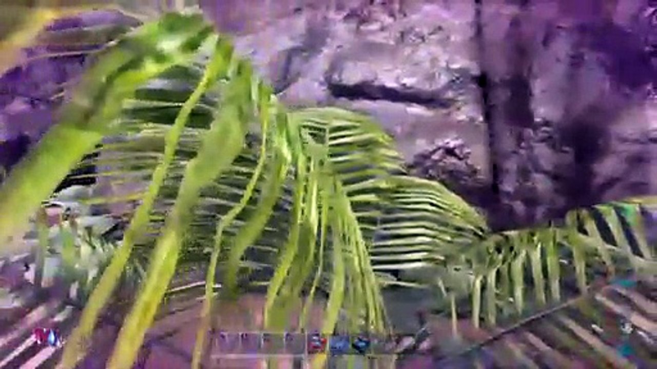ARK FR (16)