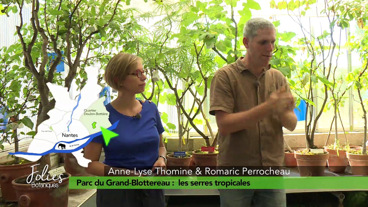 Folies Botaniques au Grand Blottereau #8