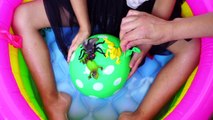 5 NESTING Water Balloons for Learning Colors - Finger Family Song for Babies with Insects