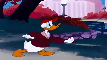 chip and Dale Collection - Funny Chipmunk Cartoon - Compilation with Donald duck and Micke