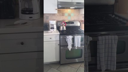 Blague avec une bouilloire