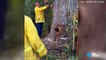 Djevojka je čula plač iz šume, a kada je prišla jednom starom stablu nije mogla vjerovati pa je sve to snimila!