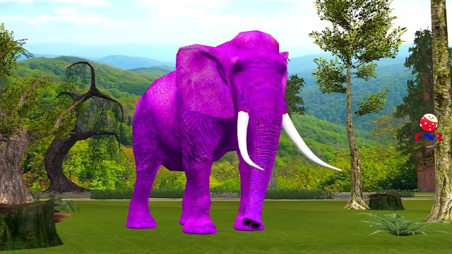 Dinosaurs Gorilla Lion Tiger Elephant Becomes Halloween Colors Animals Finger Family Nursery Rhymes