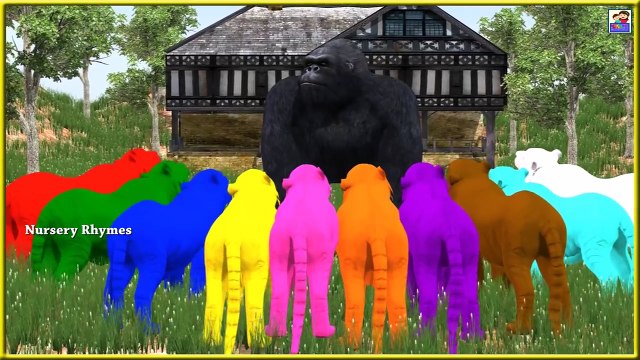 Learn Colors Song || Learn Colors With Tiger & Gorilla || By Nursery Rhymes || Kids 3D Rhymes
