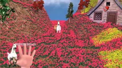 Finger Family || LION v/s HORSE Version || Children Animated 3D Rhymes